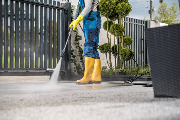 Best Pressure Washing Contractors  in Carson City, NV