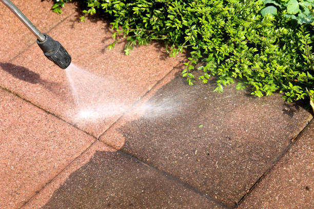 Best Pressure Washing Near Me  in Carson City, NV